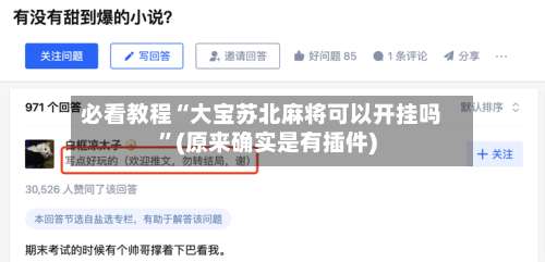 必看教程“大宝苏北麻将可以开挂吗”(原来确实是有插件)-第2张图片