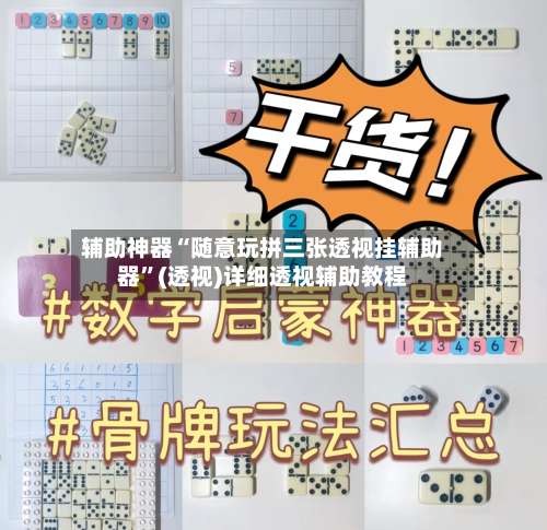 辅助神器“随意玩拼三张透视挂辅助器”(透视)详细透视辅助教程-第1张图片