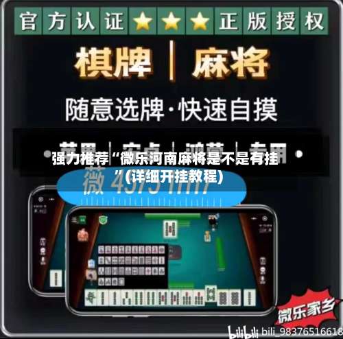 强力推荐“微乐河南麻将是不是有挂”(详细开挂教程)-第3张图片