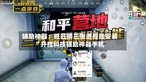 辅助神器：旺旺拼三张透视挂安装”开挂科技辅助神器手机-第1张图片