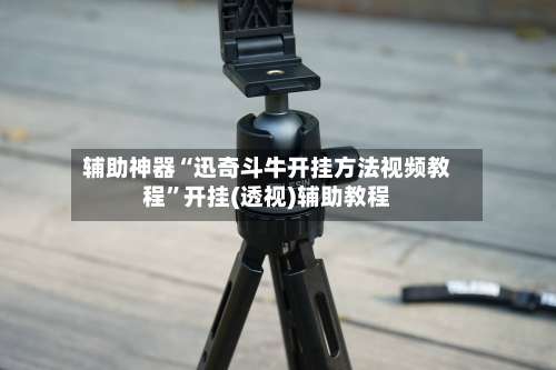 辅助神器“迅奇斗牛开挂方法视频教程”开挂(透视)辅助教程-第1张图片