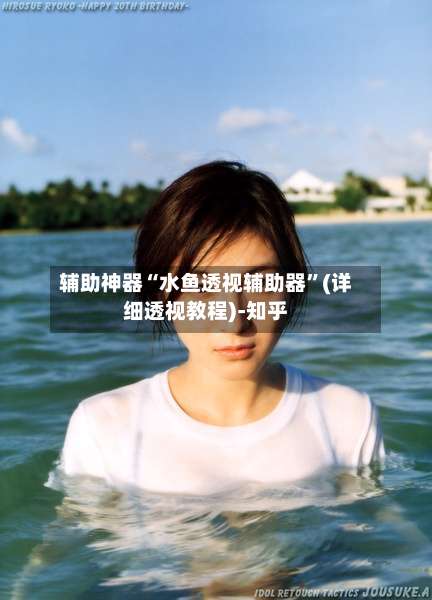 辅助神器“水鱼透视辅助器”(详细透视教程)-知乎-第1张图片