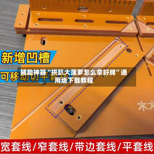 辅助神器“拱趴大菠萝怎么拿好牌”通用版下载教程-第3张图片