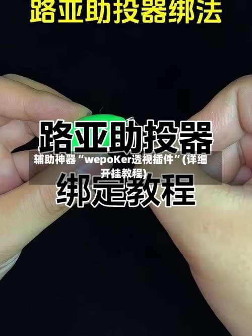 辅助神器“wepoKer透视插件”(详细开挂教程)-第2张图片