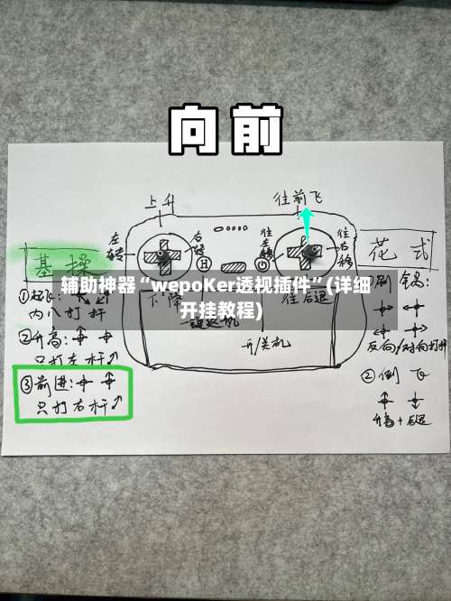 辅助神器“wepoKer透视插件”(详细开挂教程)-第1张图片