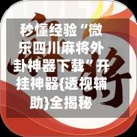 秒懂经验“微乐四川麻将外卦神器下载”开挂神器{透视辅助}全揭秘-第2张图片