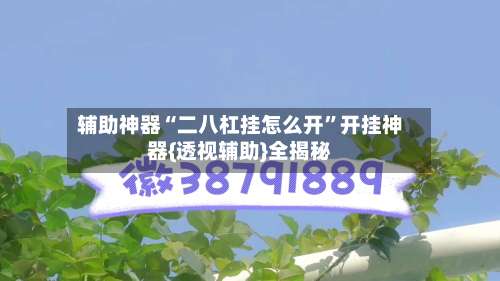 辅助神器“二八杠挂怎么开”开挂神器{透视辅助}全揭秘-第1张图片