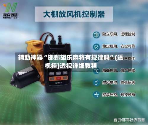 辅助神器“邯郸胡乐麻将有规律吗”(透视挂)透视详细教程-第1张图片