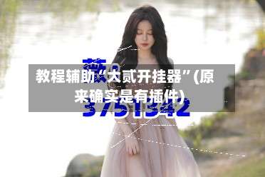 教程辅助“大贰开挂器”(原来确实是有插件)-第1张图片