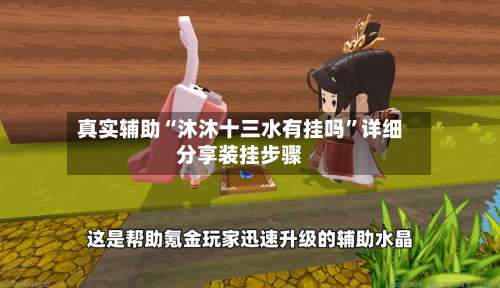 真实辅助“沐沐十三水有挂吗”详细分享装挂步骤-第3张图片