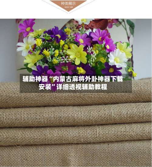 辅助神器“内蒙古麻将外卦神器下载安装”详细透视辅助教程-第1张图片