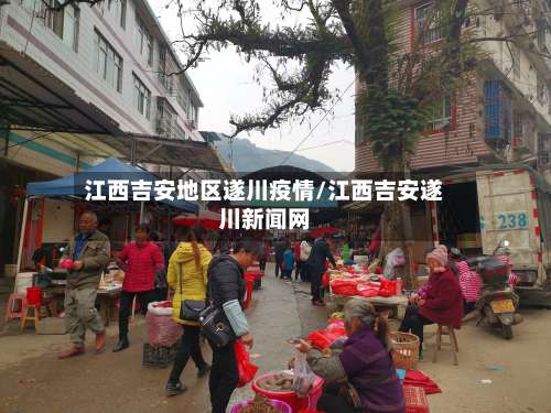 江西吉安地区遂川疫情/江西吉安遂川新闻网-第1张图片