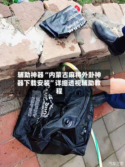 辅助神器“内蒙古麻将外卦神器下载安装”详细透视辅助教程-第3张图片