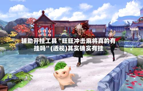 辅助开挂工具“旺旺冲击麻将真的有挂吗”(透视)其实确实有挂-第3张图片