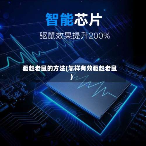 驱赶老鼠的方法(怎样有效驱赶老鼠)-第2张图片