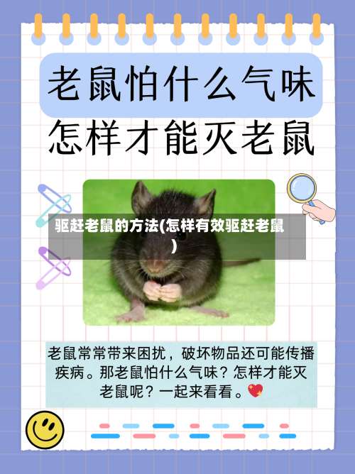 驱赶老鼠的方法(怎样有效驱赶老鼠)-第1张图片