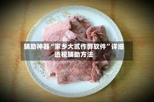 辅助神器“家乡大贰作弊软件”详细透视辅助方法-第3张图片