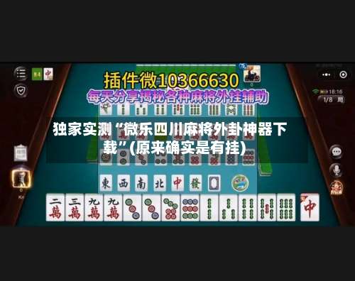 独家实测“微乐四川麻将外卦神器下载”(原来确实是有挂)-第2张图片