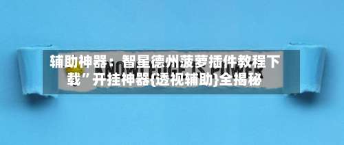 辅助神器：智星德州菠萝插件教程下载”开挂神器{透视辅助}全揭秘-第2张图片