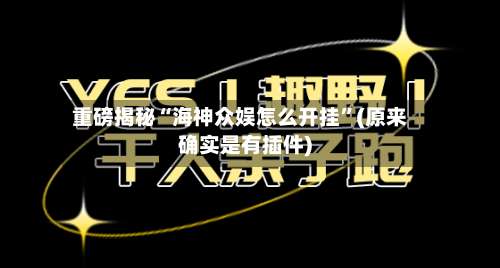 重磅揭秘“海神众娱怎么开挂”(原来确实是有插件)-第3张图片