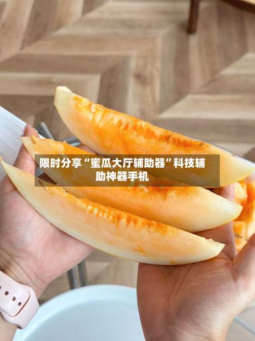限时分享“蜜瓜大厅辅助器”科技辅助神器手机-第2张图片