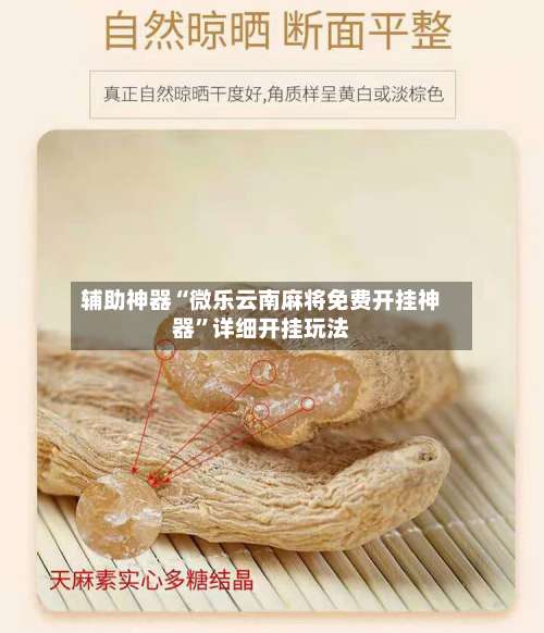 辅助神器“微乐云南麻将免费开挂神器”详细开挂玩法-第1张图片