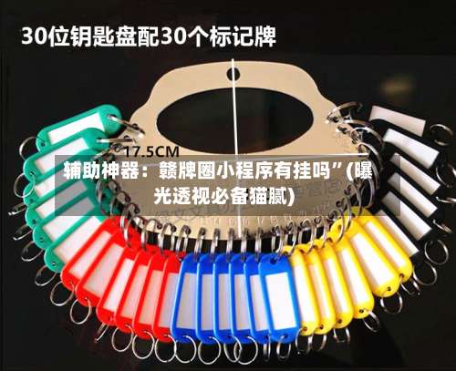 辅助神器：赣牌圈小程序有挂吗”(曝光透视必备猫腻)-第1张图片