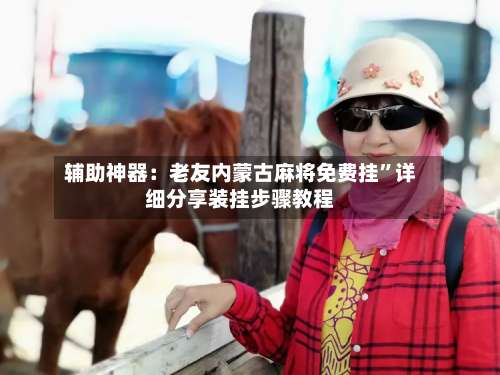 辅助神器：老友内蒙古麻将免费挂	”详细分享装挂步骤教程-第1张图片