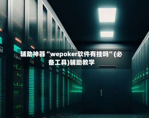 辅助神器“wepoker软件有挂吗”(必备工具)辅助教学-第2张图片