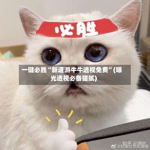 一键必胜“新道游牛牛透视免费	”(曝光透视必备猫腻)-第1张图片