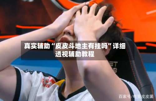 真实辅助“皮皮斗地主有挂吗”详细透视辅助教程-第1张图片