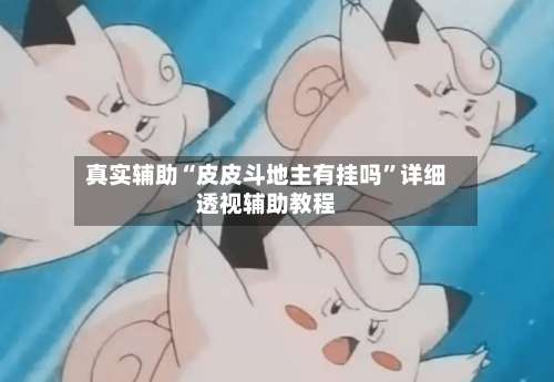 真实辅助“皮皮斗地主有挂吗”详细透视辅助教程-第3张图片