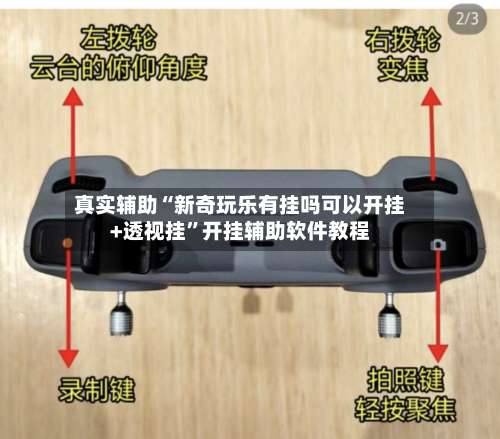真实辅助“新奇玩乐有挂吗可以开挂+透视挂”开挂辅助软件教程-第1张图片