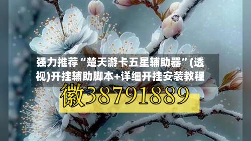 强力推荐“楚天游卡五星辅助器”(透视)开挂辅助脚本+详细开挂安装教程-第3张图片