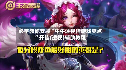 必学教你安装“牛牛透视挂游戏亮点”开挂(透视)辅助教程-第2张图片