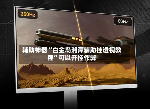 辅助神器“白金岛湘潭辅助挂透视教程”可以开挂作弊-第2张图片