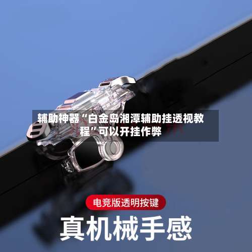 辅助神器“白金岛湘潭辅助挂透视教程	”可以开挂作弊-第3张图片