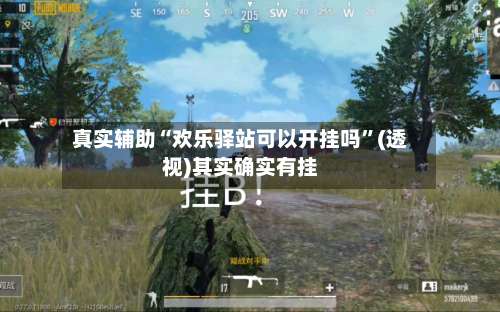 真实辅助“欢乐驿站可以开挂吗	”(透视)其实确实有挂-第1张图片