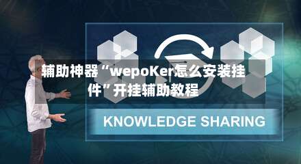 辅助神器“wepoKer怎么安装挂件”开挂辅助教程-第1张图片