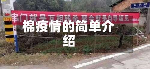 棉疫情的简单介绍-第2张图片