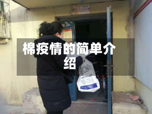 棉疫情的简单介绍-第1张图片