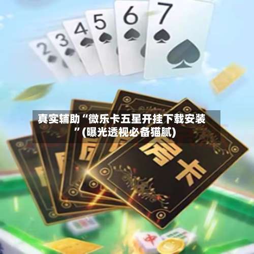 真实辅助“微乐卡五星开挂下载安装”(曝光透视必备猫腻)-第2张图片