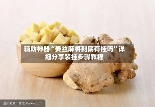 辅助神器“姜丝麻将到底有挂吗	”详细分享装挂步骤教程-第2张图片