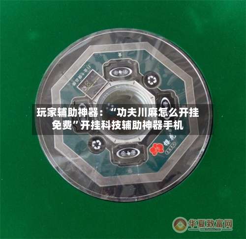 玩家辅助神器：“功夫川麻怎么开挂免费”开挂科技辅助神器手机-第3张图片