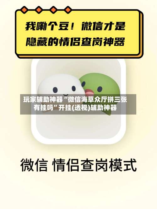 玩家辅助神器“微信海草众厅拼三张有挂吗”开挂(透视)辅助神器-第2张图片