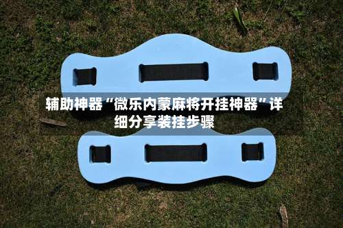 辅助神器“微乐内蒙麻将开挂神器”详细分享装挂步骤-第2张图片