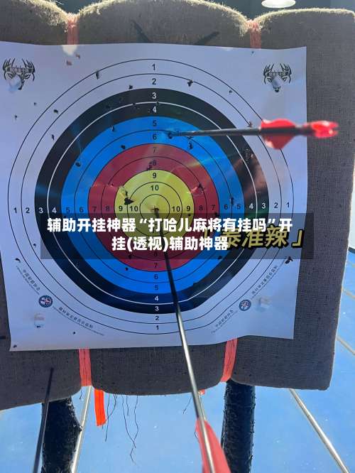 辅助开挂神器“打哈儿麻将有挂吗”开挂(透视)辅助神器-第2张图片