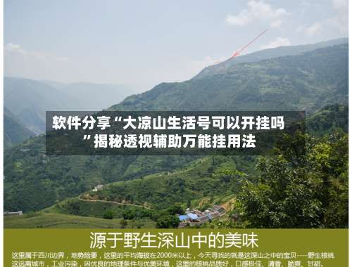 软件分享“大凉山生活号可以开挂吗”揭秘透视辅助万能挂用法-第1张图片