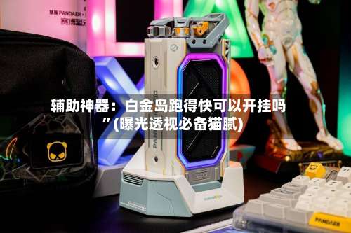 辅助神器：白金岛跑得快可以开挂吗”(曝光透视必备猫腻)-第1张图片