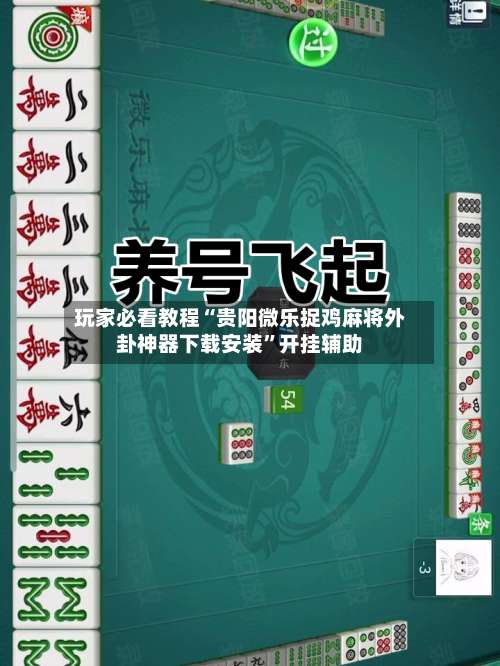 玩家必看教程“贵阳微乐捉鸡麻将外卦神器下载安装”开挂辅助-第3张图片